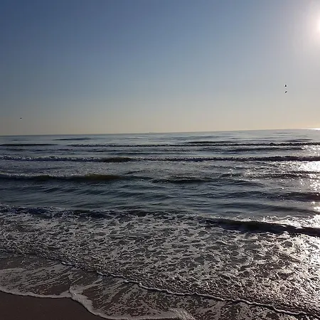 Apartment Summerland Mamaia مامايا